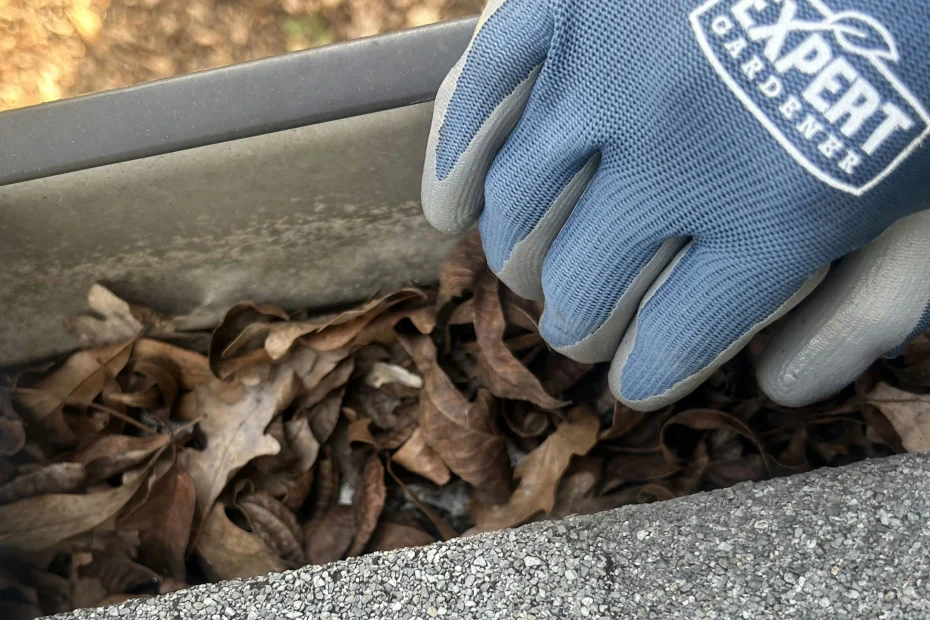 Gutter Cleaning Cypress, TX